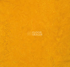 Линолеум Forbo Marmoleum Marbled Fresco 3125-312535 golden sunset фото 1 | FLOORDEALER